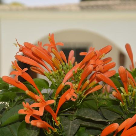 Vokundahouse Villa โคโลลิ ภายนอก รูปภาพ